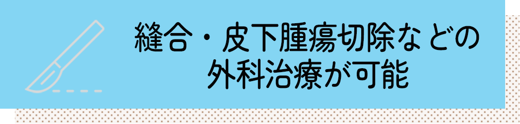 縫合・皮下腫瘍切除などの 外科治療が可能